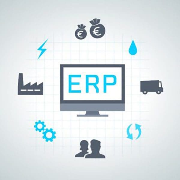 Cartoon computer with ERP on the screen, surrpounded by icons suh as money bags, outlines of heads and a settings icon