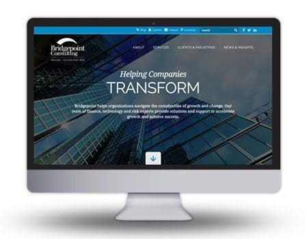 Monitor for new website