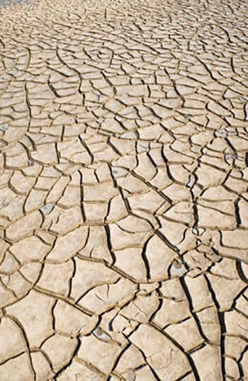 Dried up rocks